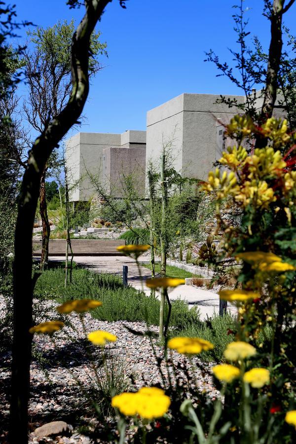 Casa Petrini Hotel Tupungato Exterior photo