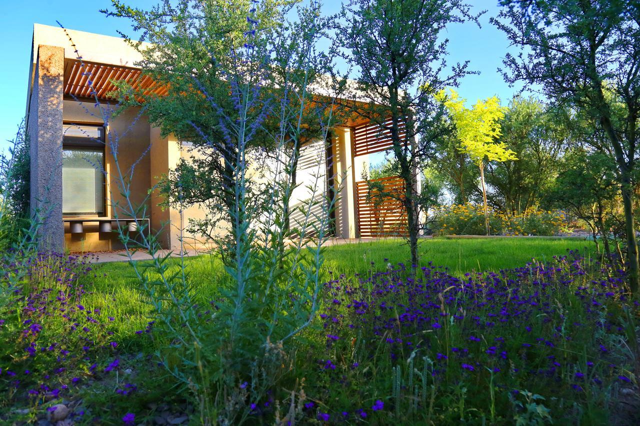 Casa Petrini Hotel Tupungato Exterior photo